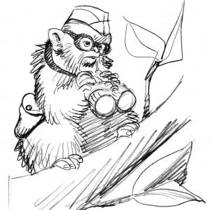 KH2900E-battle-monkeys-marmoset-scout