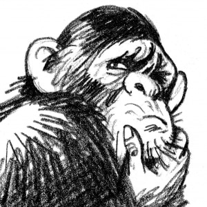 KH2900N-battle-monkeys-pensive-chimp